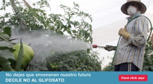 #FueraMonsanto