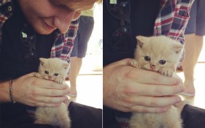 ed-sheeran-boris