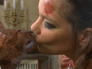 gato-bjork