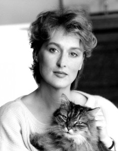 meryl-streep