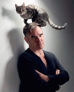 Morrissey