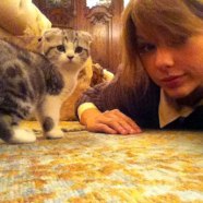 Taylor-Swift-y-su-gato