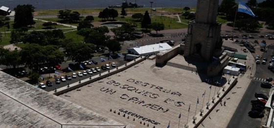 destruir bosques es un crimen