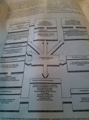 Las principales áreas de la psicología académica y aplicada abiertas a los graduados de psicología