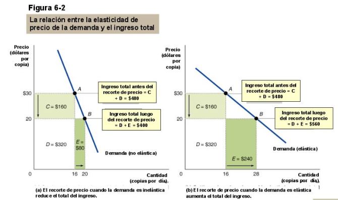 elasticidad-3