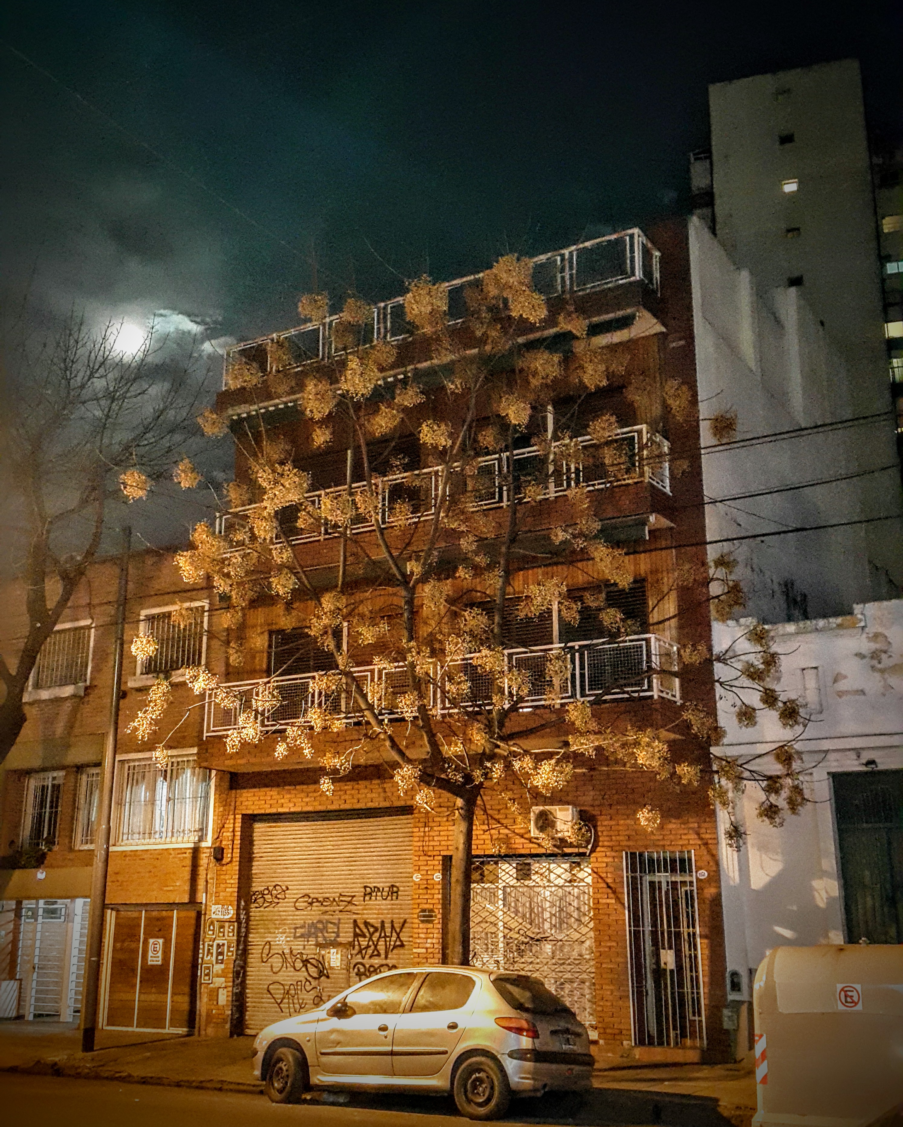 Luna llena en Palermo Ciudad Autónoma de Buenos Aires.  Foto: David Encina V.