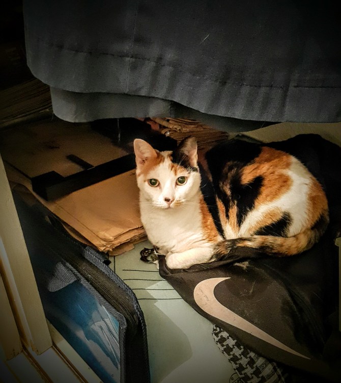 20171012_214242
