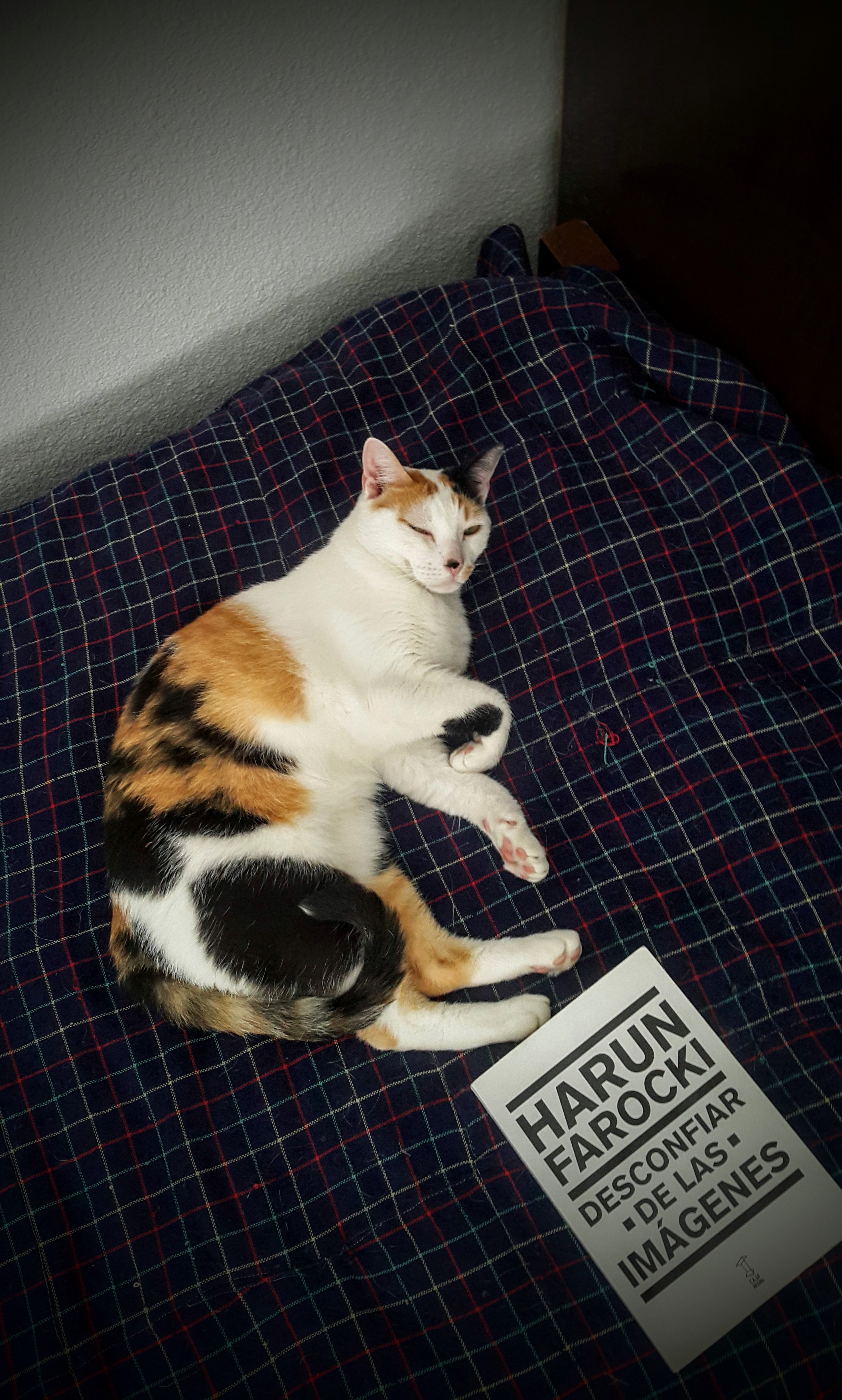 20171226_114135.jpg