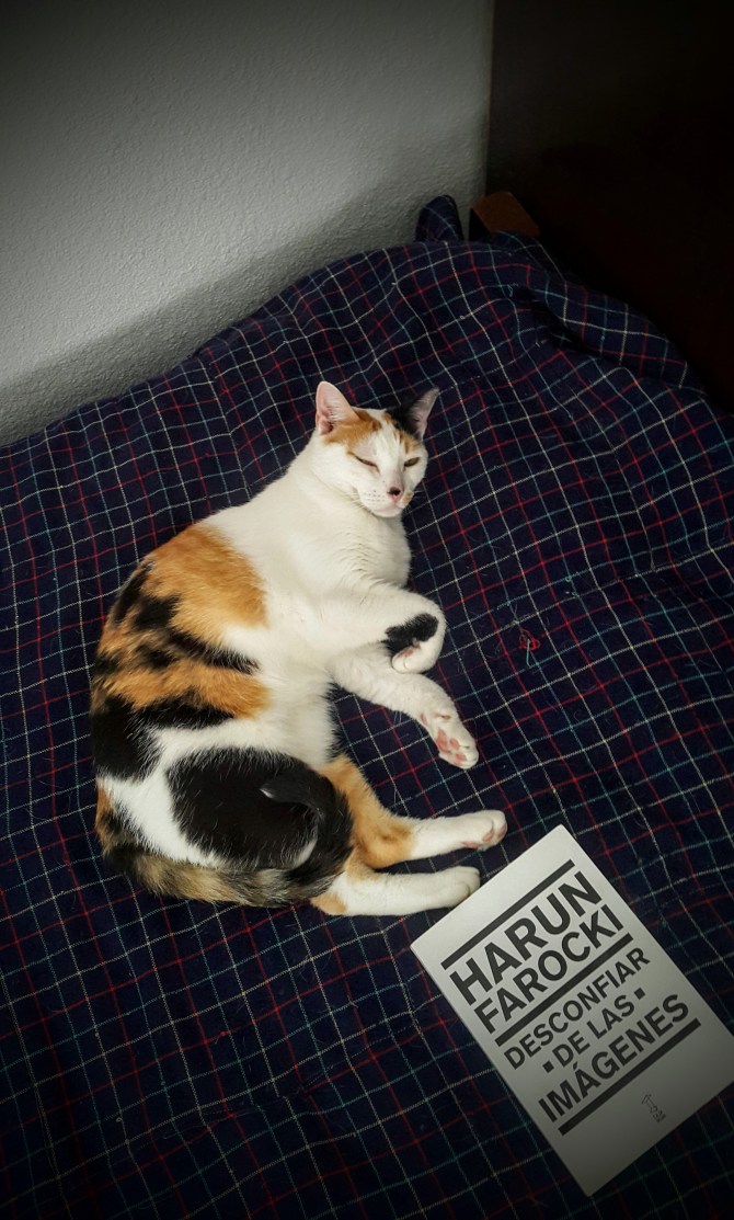 20171226_114135.jpg