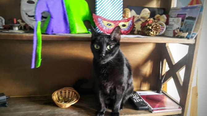 20180213_150634.jpg