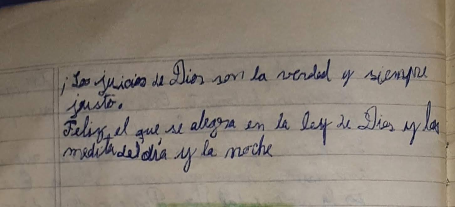 Feliz el que se alegra en la ley de Dios y la medita de día y de noche (Salmo 1, 2).